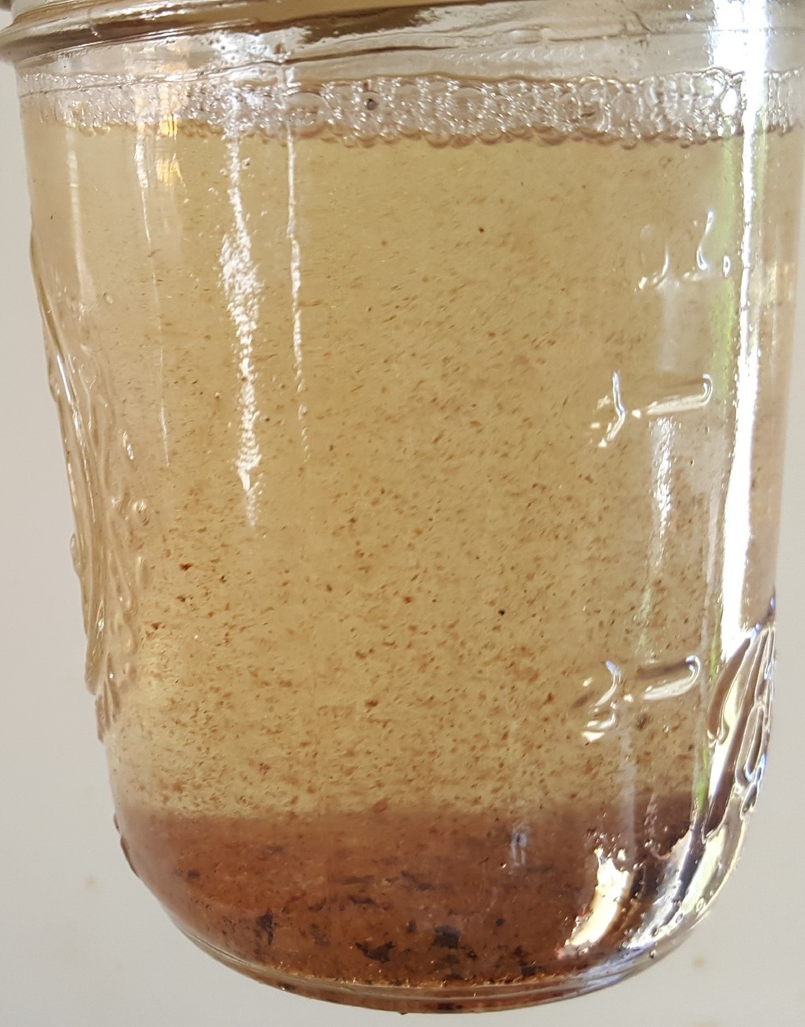 The Problem with Ethanol Blended Gasoline Biobor Fuel Additives