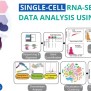 Hands-on: Single-Cell RNA-Sequencing Data Analysis Using Python ...