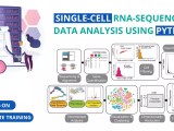 Hands On Single Cell Rna Sequencing Data Analysis Using Python