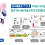 Hands-on: Single-Cell RNA-Sequencing Data Analysis Using Python ...