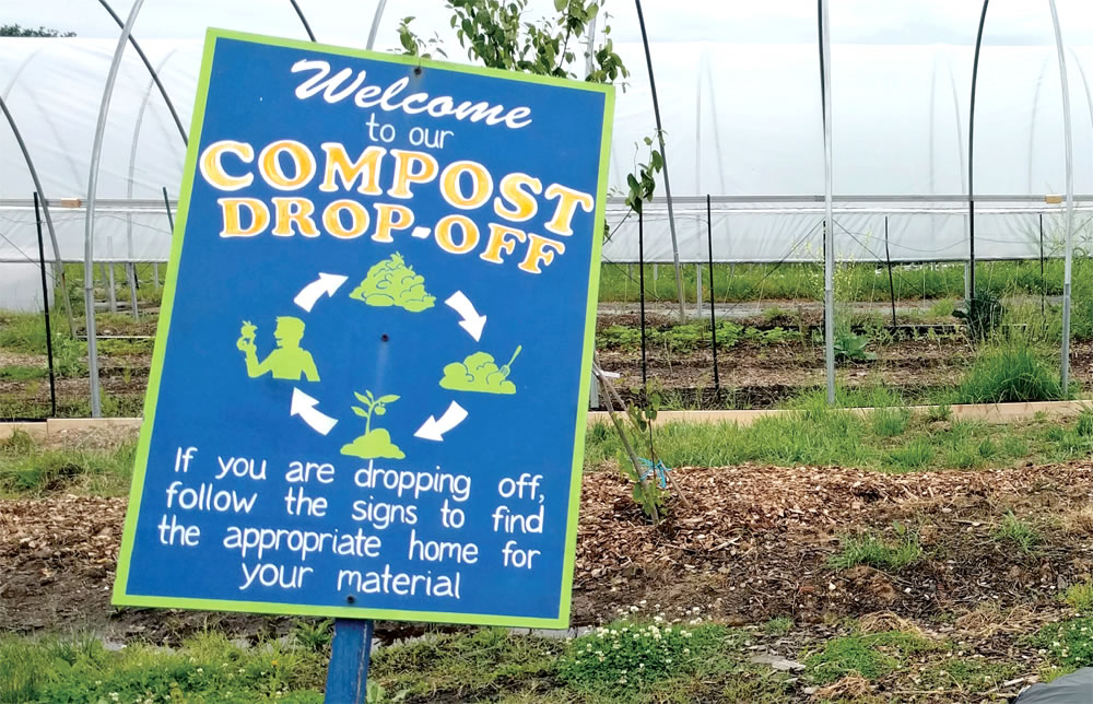 Scaling Up Hydroponic Systems: Transform Community Gardens