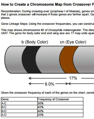 What Is A Map Unit Anyway Chromosome Map 