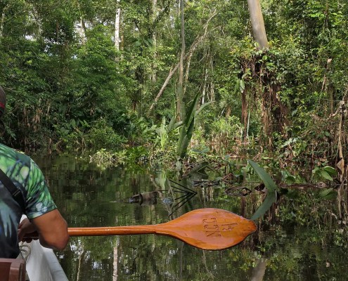Auf Tour im Amazonas Regenwald