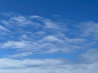 Sky with flying birds
