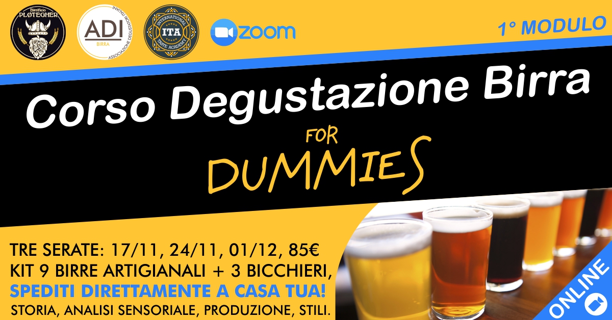 beer for dummies