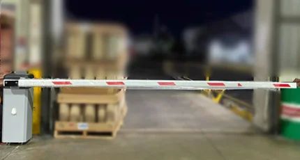 Contact Us Bisktech Information Technology Solutions - Stunning Vintage Background - 8K