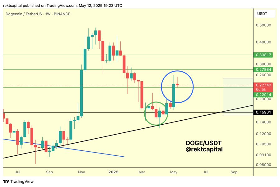 Dogecoin Price To Rally To $0.27? Expert Reveals Critical Level For DOGE 2 Dogecoin price