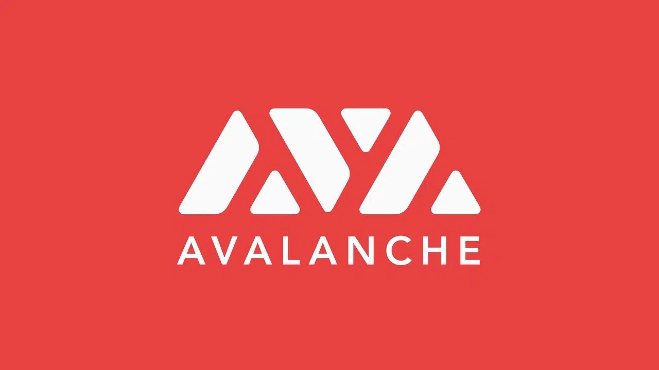 Avalanche Foundation in Talks to Establish a Treasury Company in the US! Details Here