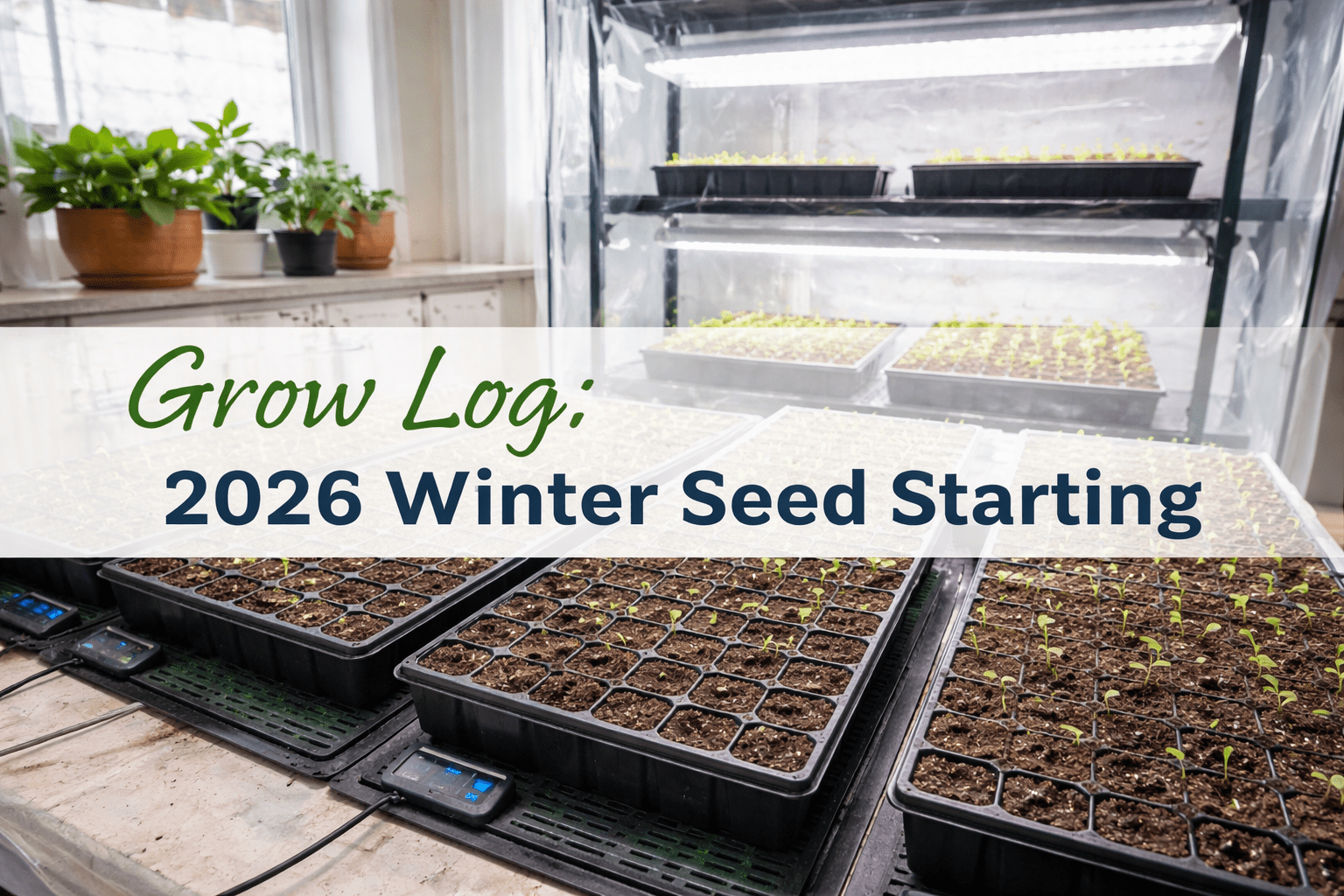Indoor winter seed-starting setup with 72-cell trays, heat mats, and full-spectrum LED grow lights on a tiered rack