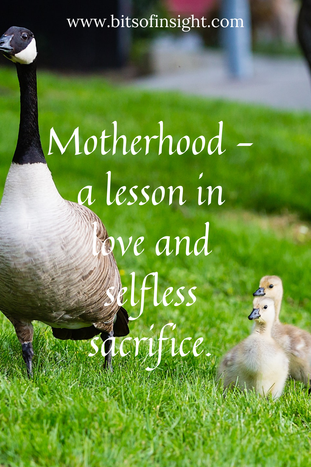 Difficult choices of a new mom