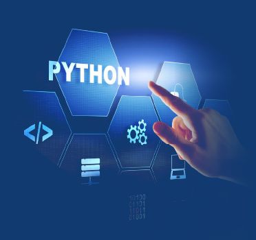 Python For App Development An Ultimate Guide - Premium Ocean Illustration Gallery - Ultra HD