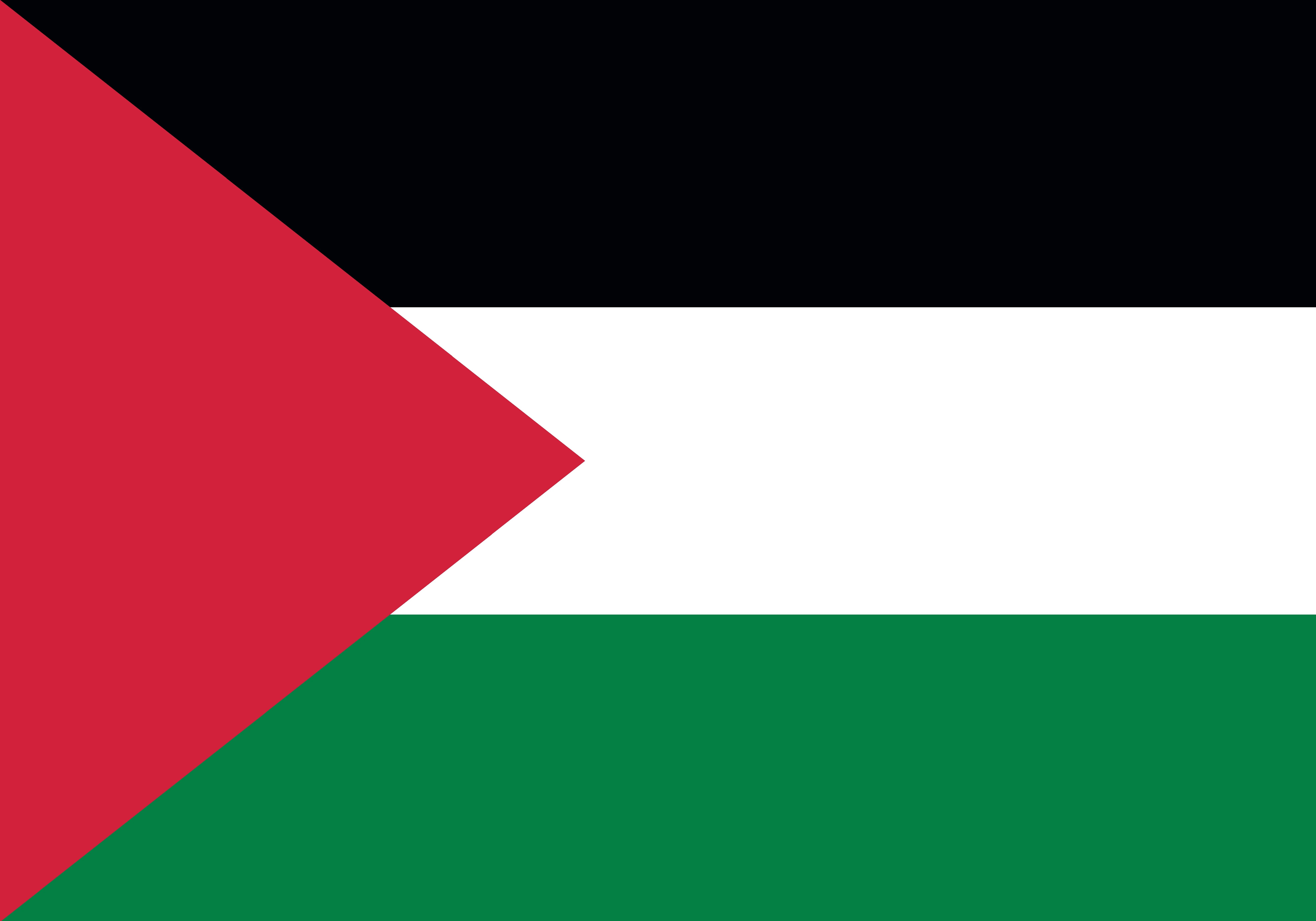 Vlag Palestina