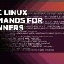 Basic Linux Commands Every Beginner Should Know - Blackdown