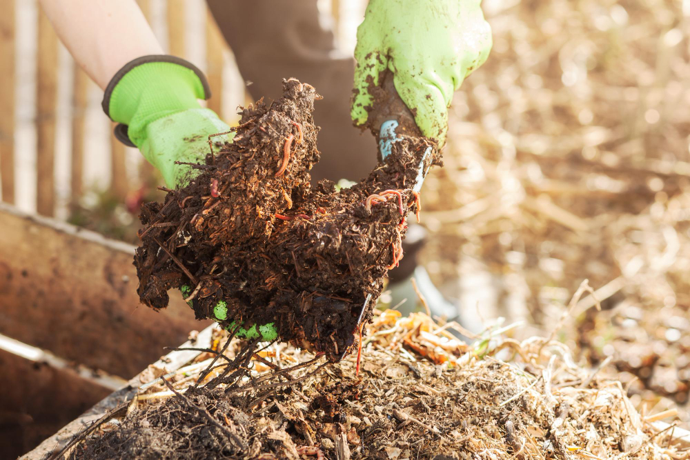 Unveiling the mystery of tree fertilisation