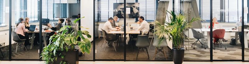 Our Approach Bleckmann - Mobile Gradient Illustrations for Desktop