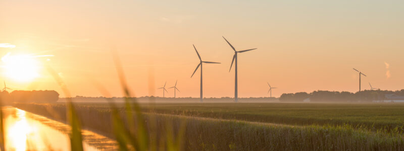 Sustainability Bleckmann - Beautiful Ultra HD Colorful Images | Free Download