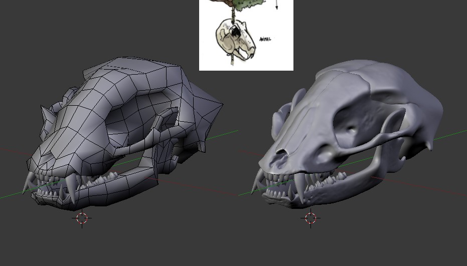 Skulls that exhibit a slight pathological abnormality (a dental anomaly, infection or bite mark). Blend Swap Raccoon Skull
