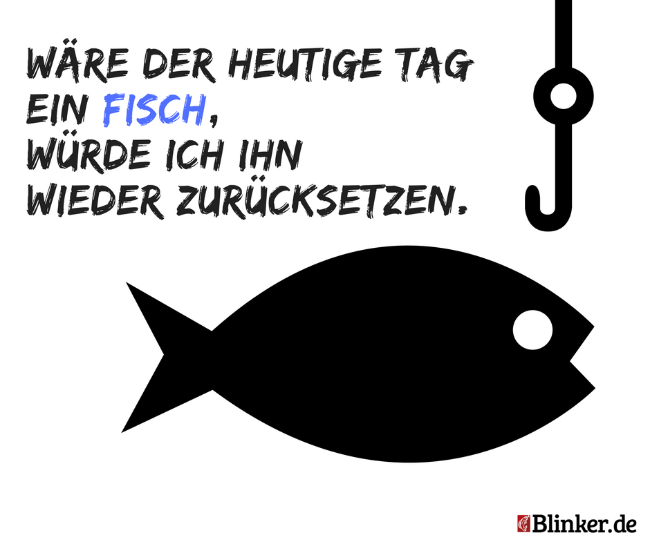Die Besten Anglersprüche: Jetzt Kostenlos Downloaden - Blinker 788_x_940_png