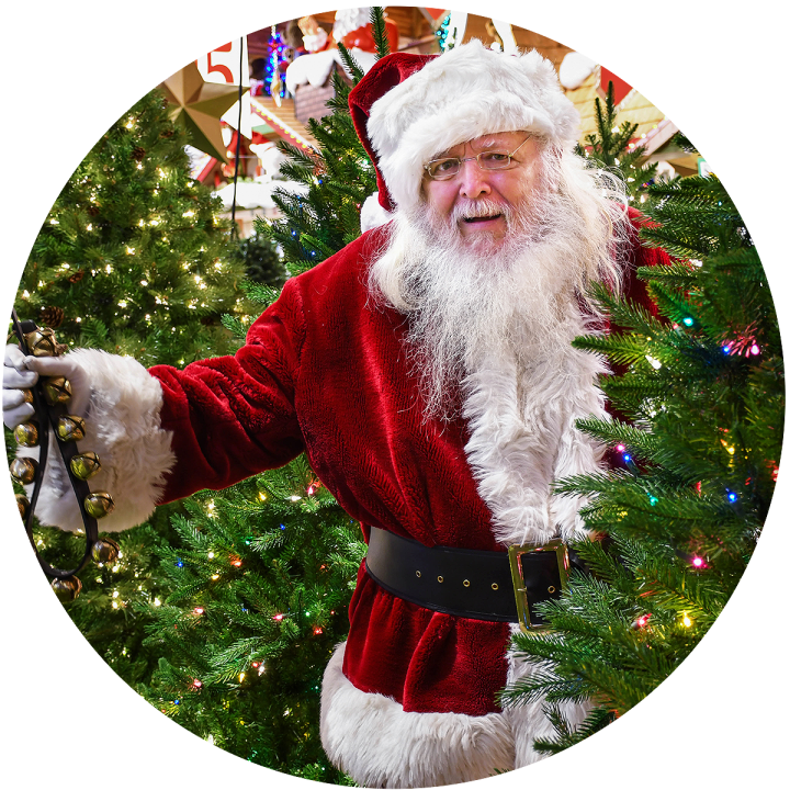 Santa Claus In Christmas Tree Forest
