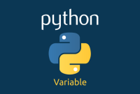 variable_python