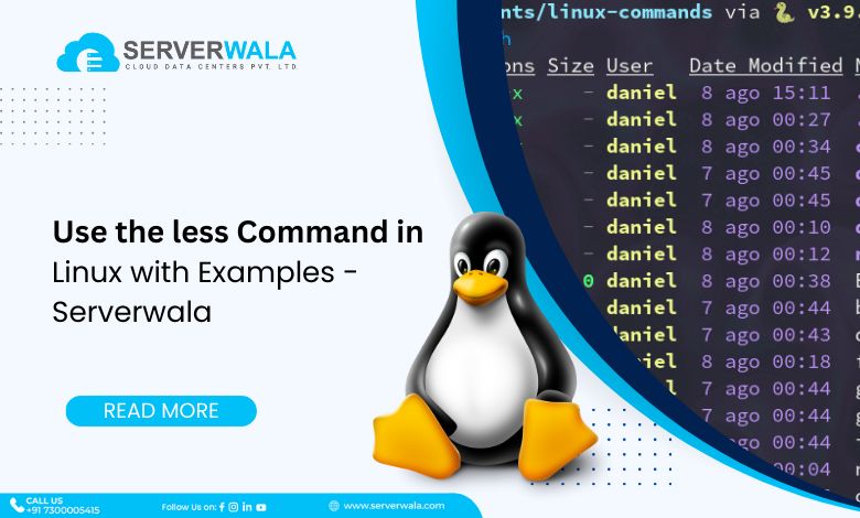 Use the less Command in Linux with Examples - Serverwala