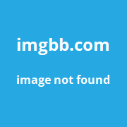 WPCode Auto Insert