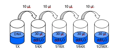 Bacteria are often counted in the laboratory by the viable plate method, where a dilution of bacterial . Consistent Serial Dilution Results Using Ezmate 401 Automated Pipetting System With 8 Channel Apm Blue Ray Biotech