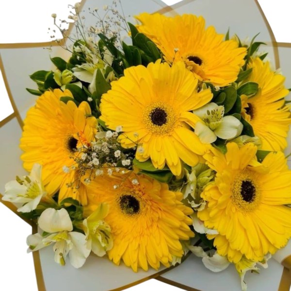 6 Gerberas y astromelias