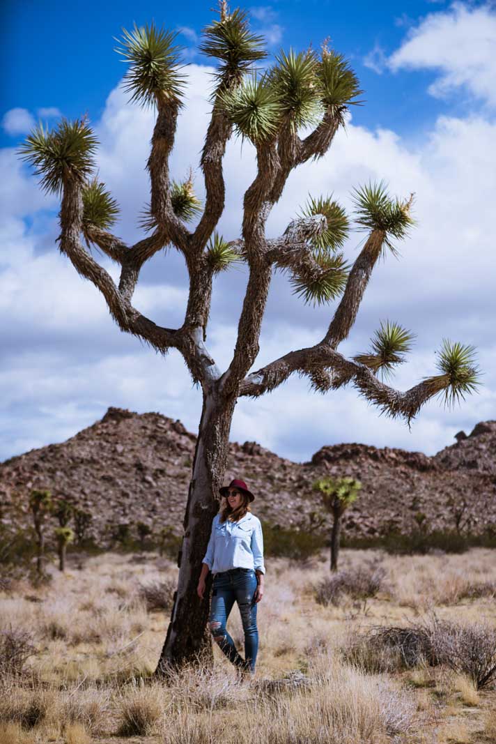 Top 5 Things To Do In Joshua Tree Simply Andreea