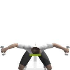 Cable flys with crossed over arms 3×12 combinded : Reverse Fly, Prone, Dumbbell | Exercise | Strength-Training