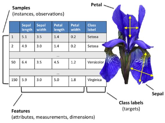 Iris Data Machine Learning Modelling Iris Data Machine Learning - Full HD Dark Illustrations for Desktop