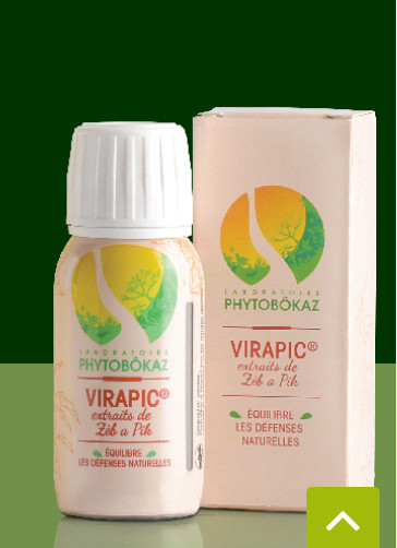 Covid-19 : Phytobòkaz va-t-il sauver le monde ?