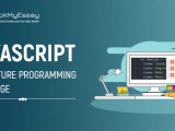 Javascript The Future Programming Language