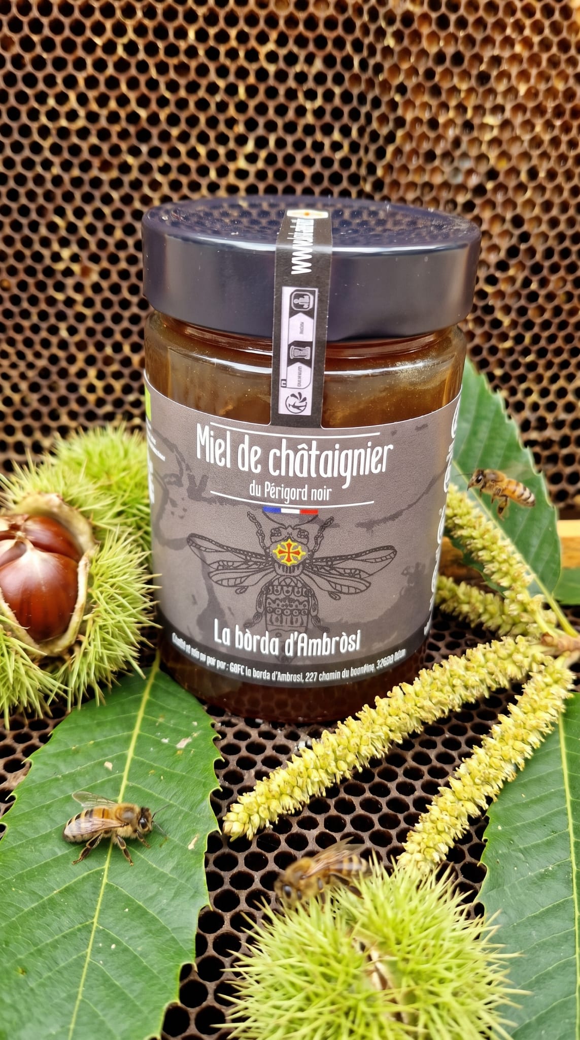 Miel bio de châtaignier Périgord Noir Dordogne — La Bórda d'Ambrosi