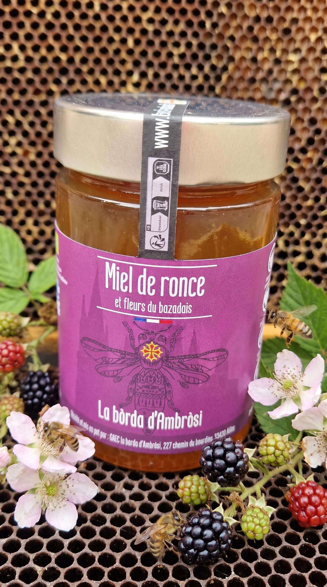 Miel bio de ronce Bazadais Gironde — La Bórda d'Ambrosi