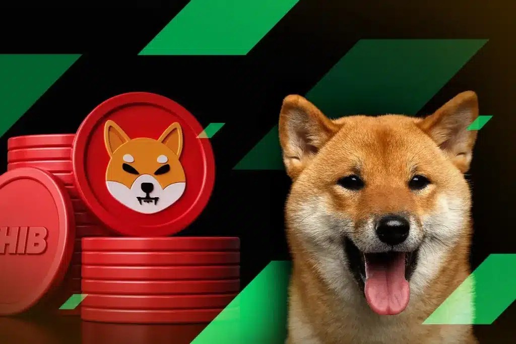 Shiba Inu