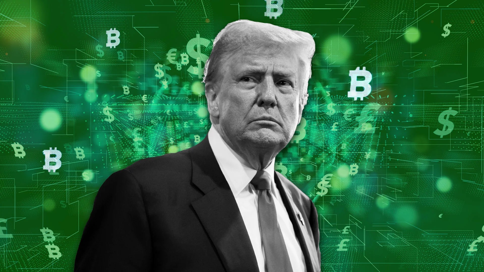 kripto trump
