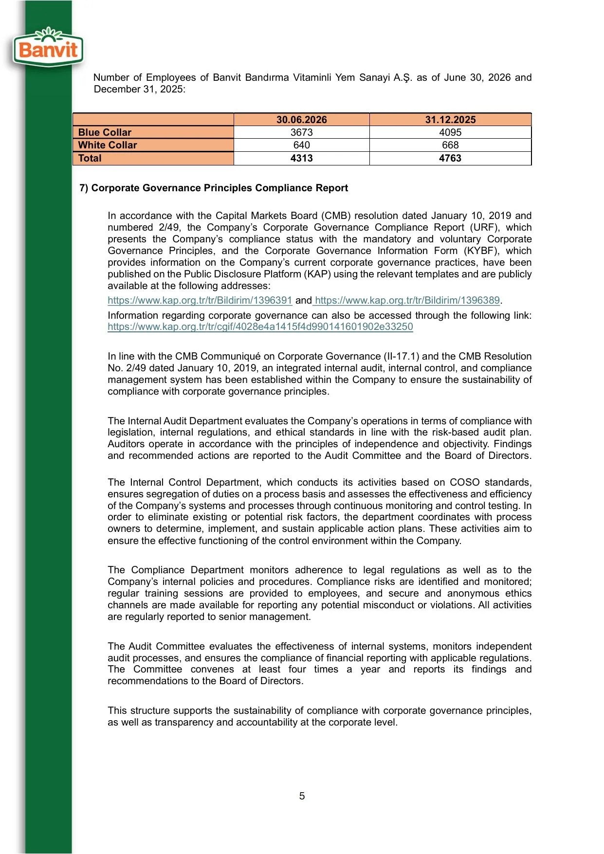 ฤฐNGฤฐLฤฐZCE BANVฤฐT FAALฤฐYET RAPORU 30.06.2026.pdf โ sayfa 7