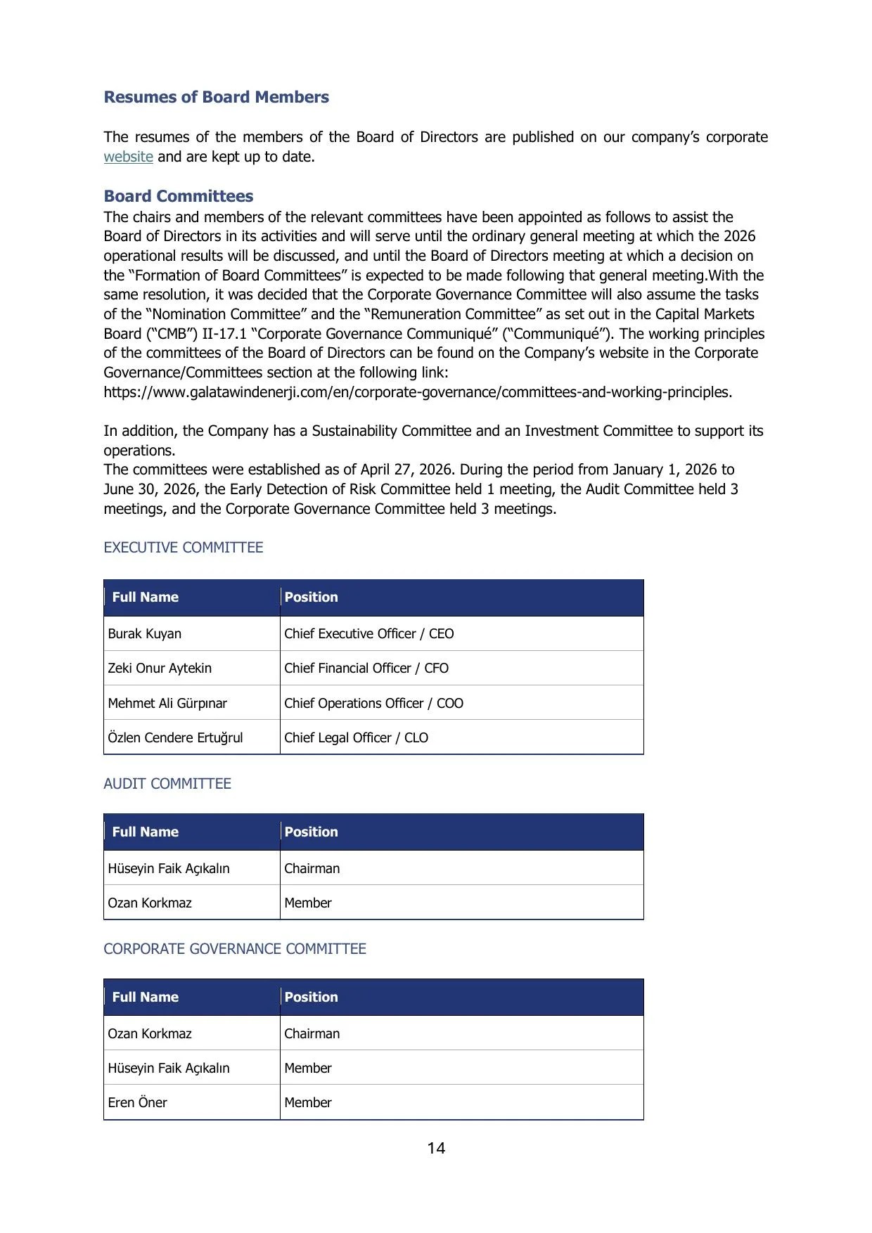 Galata Wind 2026_Q2_AR_Final.pdf — sayfa 14