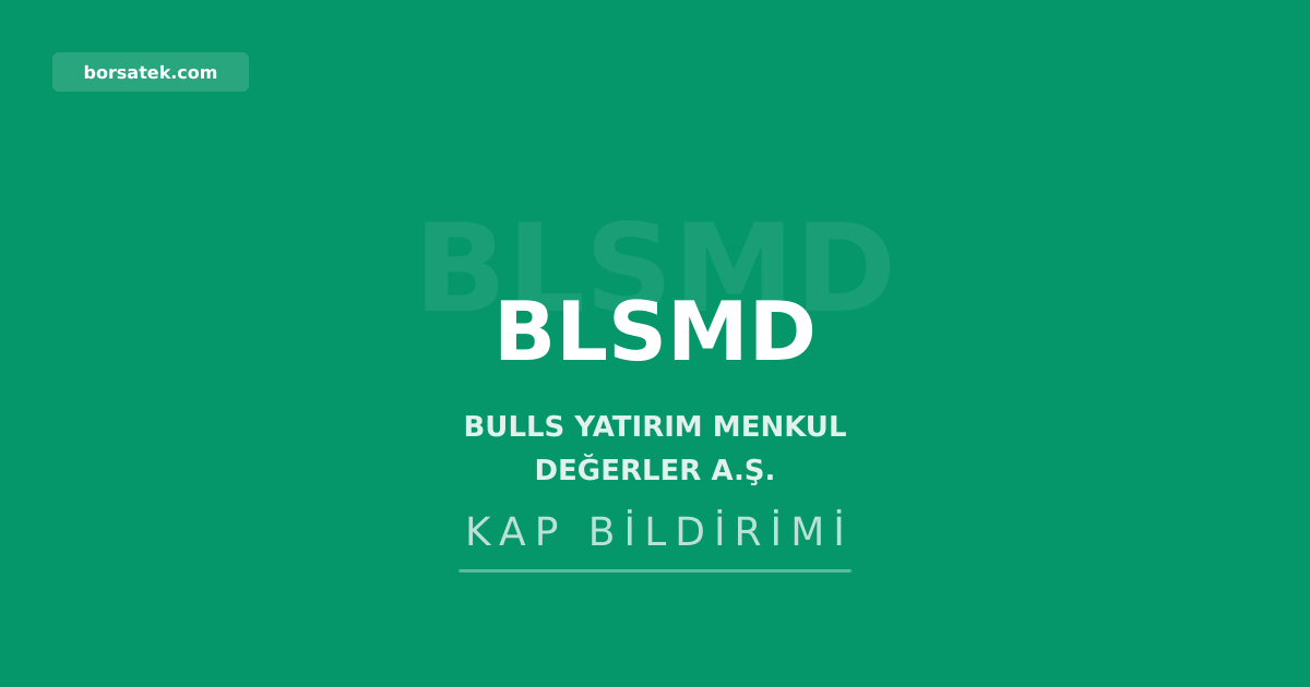 Bulls Yatırım, Özerden Ambalaj için zorunlu pay alım teklifi yaptı Borsatek