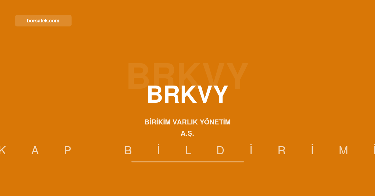 Birikim Varlık Yönetim'in 425,7 milyon TL'lik alacak portföyü devir işlemi tamamlandı Borsatek