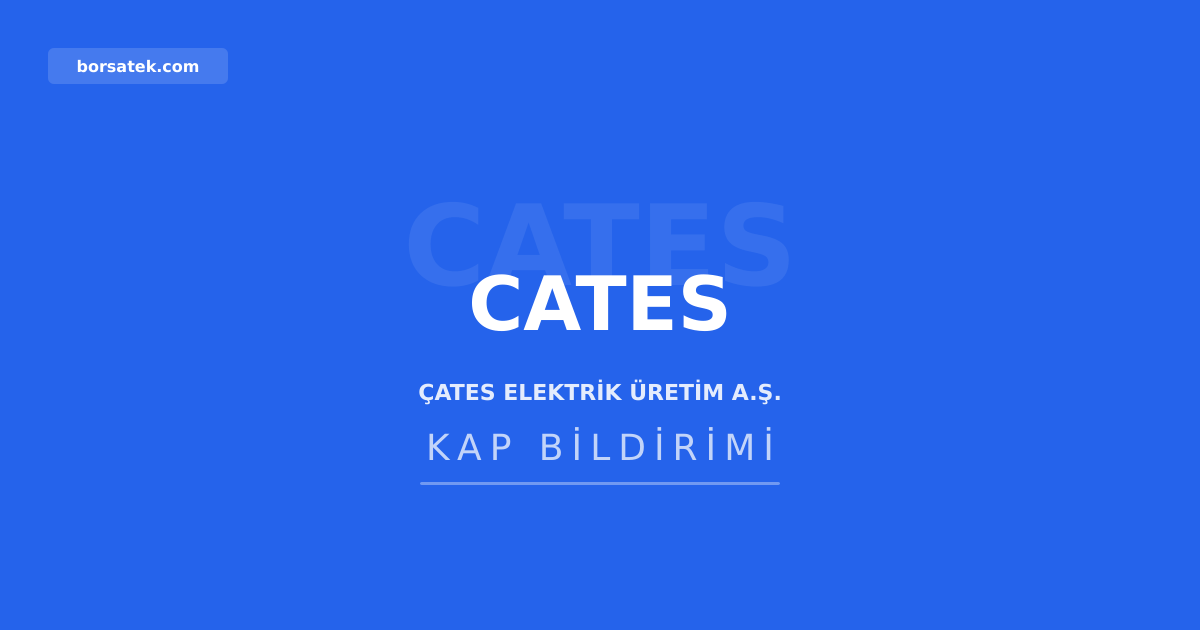 รates Elektrik'in iliลkili taraf iลlemleri yรถnetim kurulundan geรงti Borsatek