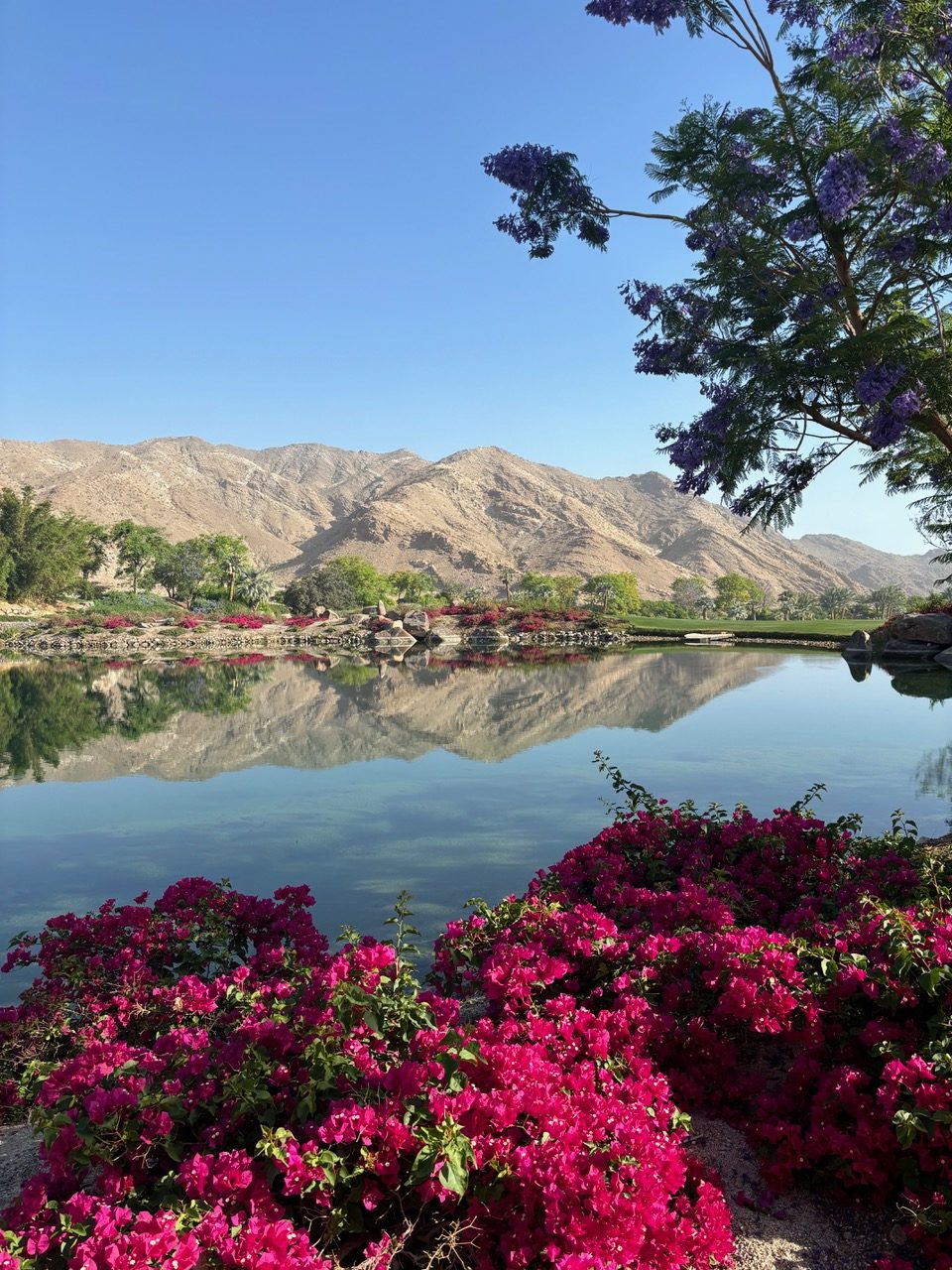Playing Sensei Porcupine Creek is a stunning experience. (Moira McCarthy photo)
