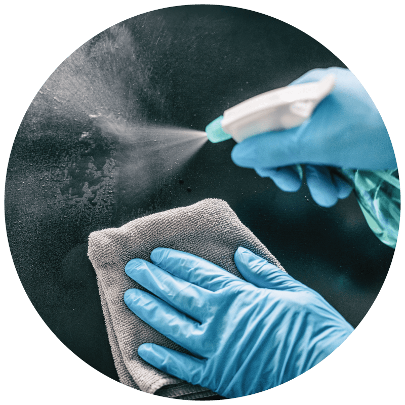 Ted Supply Bradyplus - Elegant Ultra HD Nature Designs | Free Download