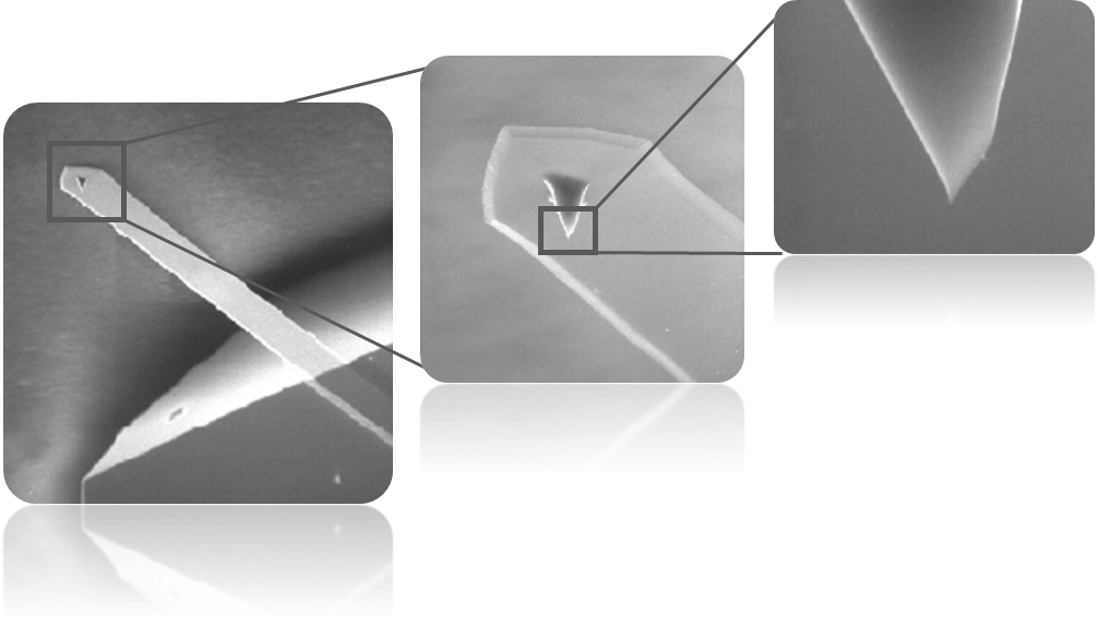 Atomic Force Microscopy (AFM) - BragitOff.com