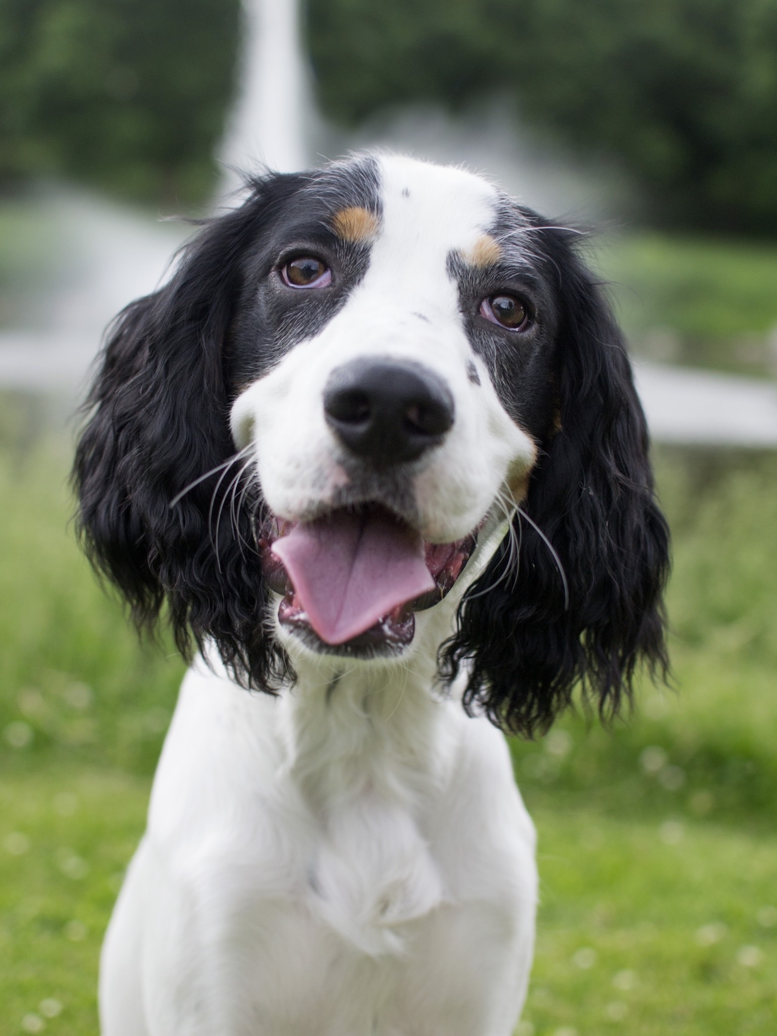 Rådgivning på Distans