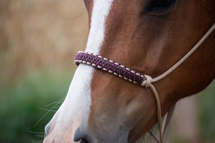 licol éthologique tressé perle beige bordeaux et marron fait main en bretagne