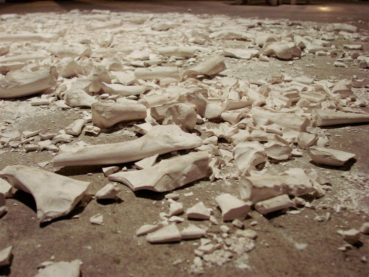 Aberlyn Sweetland-May