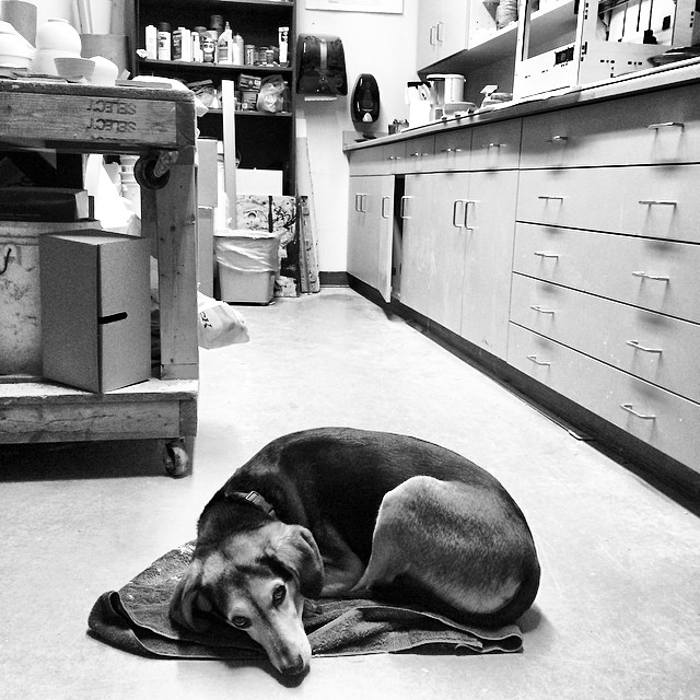 Oliver in the studio