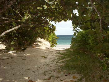 car rentals on stanton cooper eleuthera car rental